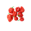 Scotch bonnet